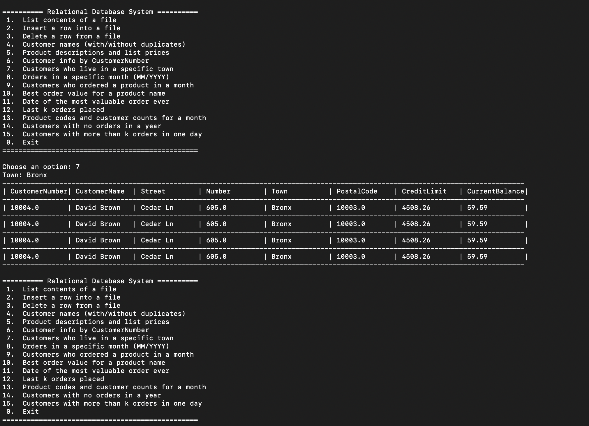 Relational Database System screenshot
